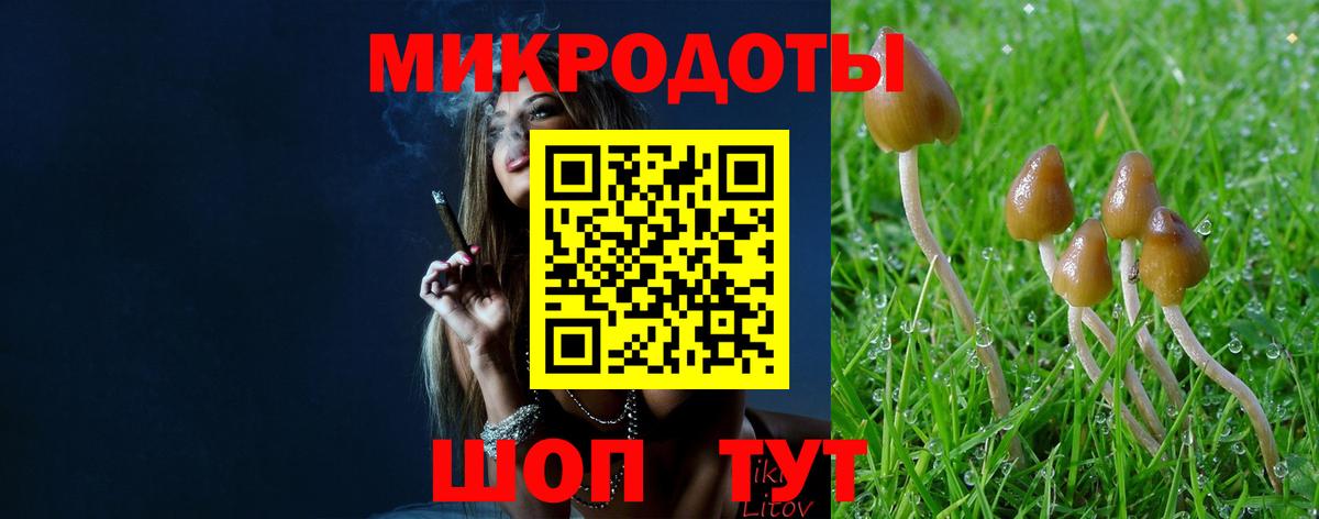 Галлюциногенные грибы Magic Shrooms  Вход с VPN  Красноармейск 
